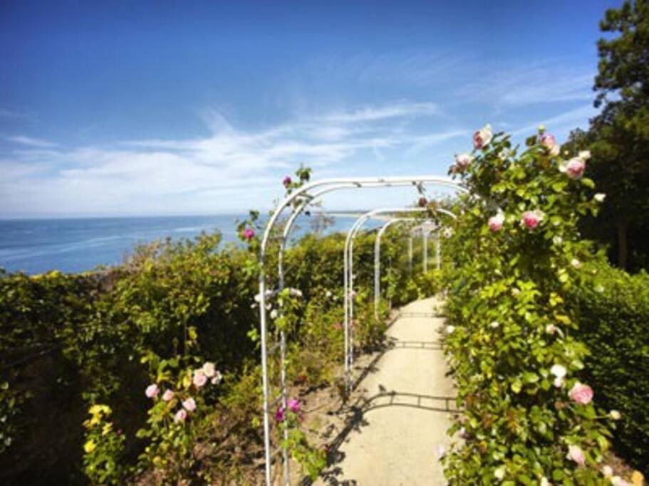 Studio De La Mer A Donville Les Bains 외부 사진